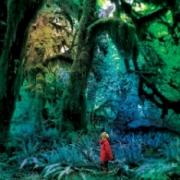 The Limiñanas - La Fill De La Ligne 15 - Mobylette 7 Jacco Gardner - Cabinet of Curiosities