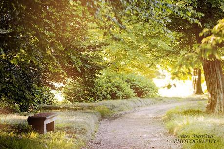 Il Torrione Pinerolo Vialetto del Parco