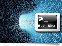 Gli Script Bash per fare molto con un click