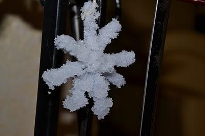 Decoro Natalizio: Cristalli di Neve Con L'Acido Borico