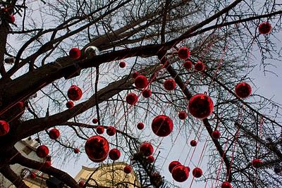 Christkindlmarkt: su e giù per il Trentino e i suoi mercatini.