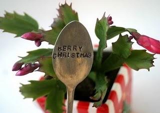 Regali Green per Natale 1 Regali Green per Natale 1