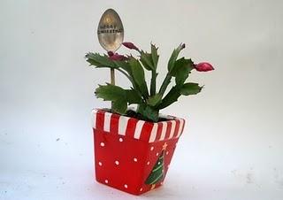 Regali Green per Natale 1 Regali Green per Natale 1