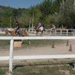 Un centro estivo nella natura e corsi di equitazione per grandi e piccoli alle Querce di Sarnano (Mc)