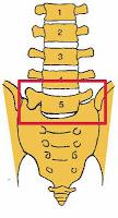 Postura: Schober Test - Rachide Lombare