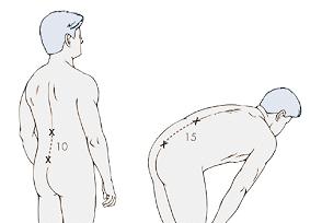 Postura: Schober Test - Rachide Lombare