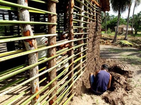Si costruisce una casa di bambù e fango. Il buco nel terreno sarà riempito da rifiuti organici per fare un orto.