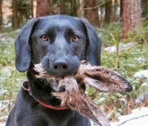 il romanzo a puntate più breve del mondo (21/52) il romanzo a puntate più breve del mondo (21/52)