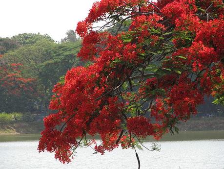Credi e non credere: l’obiettivo Credi e non credere: l’obiettivo