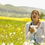 Allergie, per prevenirle arriva il “meteo pollini”