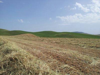 Una giornata nelle campagne pugliesi con Alce Nero e Casafacile