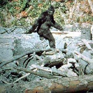 Bigfoot: i primi avvistamenti nel lontano 1811, ed oggi quali sono le novità?