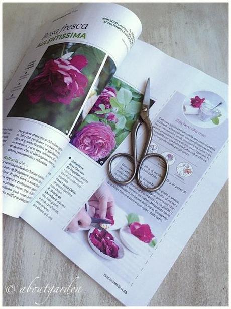 Fare in Famiglia Fare in famiglia green