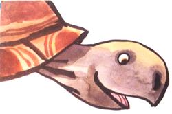 tartaruga CHI VA PIANO VA SANO E VA LONTANO