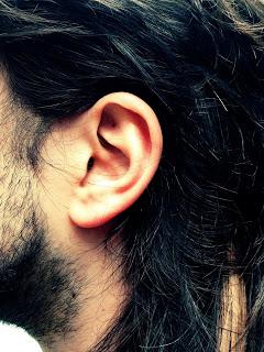 Storia delle mie orecchie.