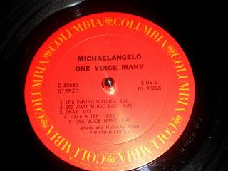 Michaelangelo - One Voice Many