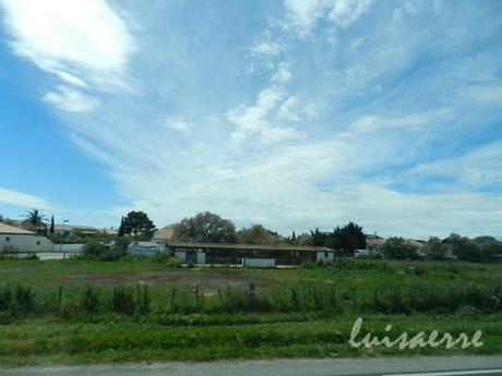 I COLORI DELLA CAMARGUE