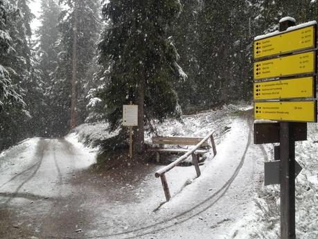 Alpen Tour: Hynek vince la 1a tappa Alpen Tour: Hynek vince la 1a tappa