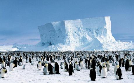 Esclusiva Patagonia World: gli imponenti ghiacci dell’Antartico