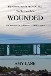 Aggiornamento del progetto per Amy Lane image