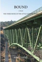 Aggiornamento del progetto per Amy Lane image