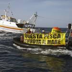 Fisheries Action in Sicily04