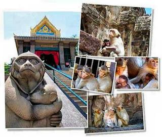 I templi dedicati agli animali
