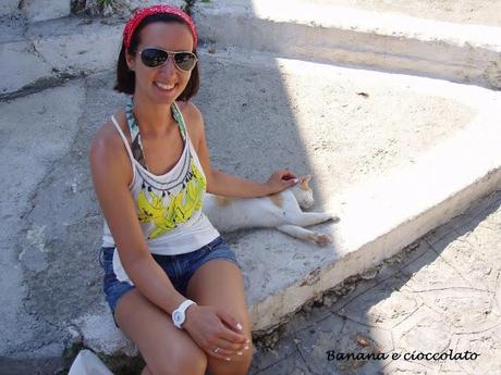 gatti greci, Zia, Kos gatti greci, Zia, Kos