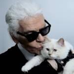 Karl Lagerfeld vuole sposare il suo gatto: “Sono innamorato”