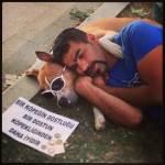 Turchia, il cane che partecipa alle rivolte spopola su Twitter