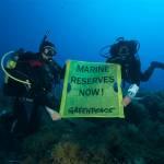 Greenpeace Divers in the Mediterranean Sea11