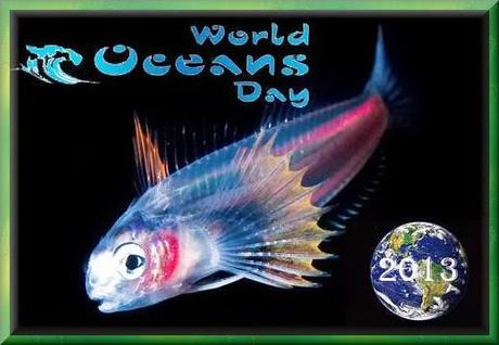 Giornata Mondiale degli Oceani - World Oceans Day