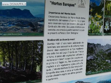 p1210121 Gita allorto botanico del Monte Baldo a Novezzina