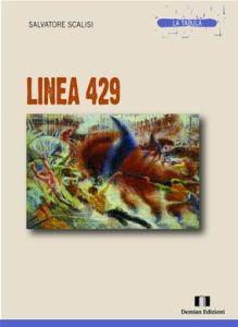 LINEA 429 RIDIM