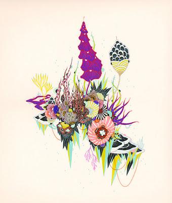 illustrazioni floreali di Yellena James illustrazioni floreali di Yellena James