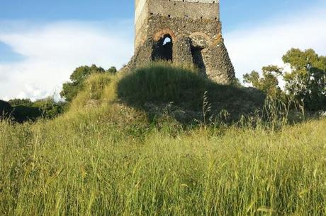 VIA APPIA ANTICA, UNA DELLE PIU' BELLE E INTENSE PASSEGGIATE ROMANE. ANCHE QUI INCURIA E ERBA NON TAGLIATA. VIA APPIA ANTICA, UNA DELLE PIU' BELLE E INTENSE PASSEGGIATE ROMANE. ANCHE QUI INCURIA E ERBA NON TAGLIATA.