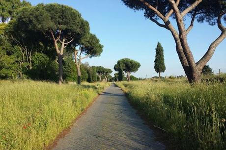 VIA APPIA ANTICA, UNA DELLE PIU' BELLE E INTENSE PASSEGGIATE ROMANE. ANCHE QUI INCURIA E ERBA NON TAGLIATA. VIA APPIA ANTICA, UNA DELLE PIU' BELLE E INTENSE PASSEGGIATE ROMANE. ANCHE QUI INCURIA E ERBA NON TAGLIATA.