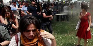 Turchia: informativa del Ministro Bonino su Gezi Park