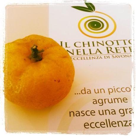 Il chinotto di Savona: antica eccellenza