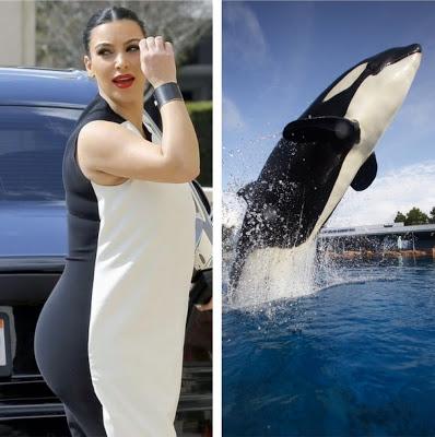 Playboy offre un milioni di dollari pur di avere Kim Kardashian in copertina Playboy offre un milioni di dollari pur di avere Kim Kardashian in copertina