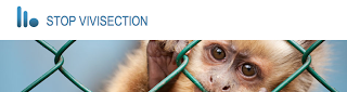 Stop Vivisection Day: 15 giugno 2013