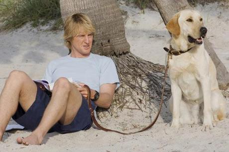 ANYTHING ELSE MOVIES 15 / Marley and me