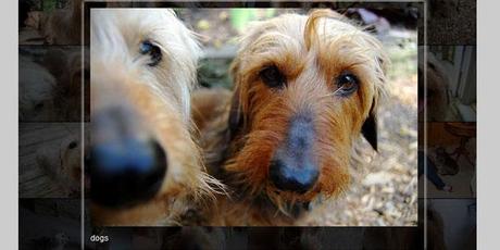 5 bellissime photogallery in JQuery 5 bellissime photogallery in JQuery