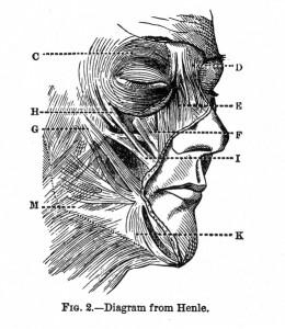 alessitimia, sindrome, emozioni, psicologi