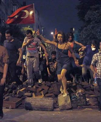 Considerazioni libere (369): a proposito di #occupygezi...