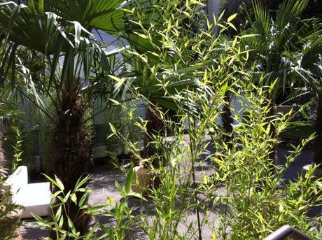 Hot Pitti: Survivor, altro che giungla! IMG_6647