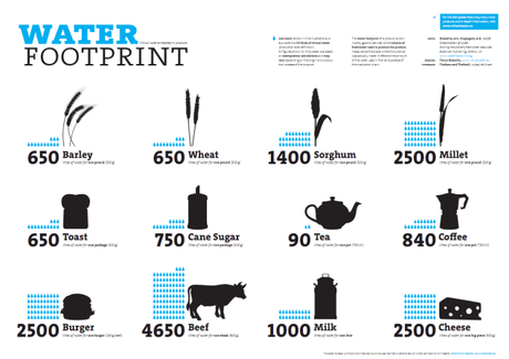 3water-footprint