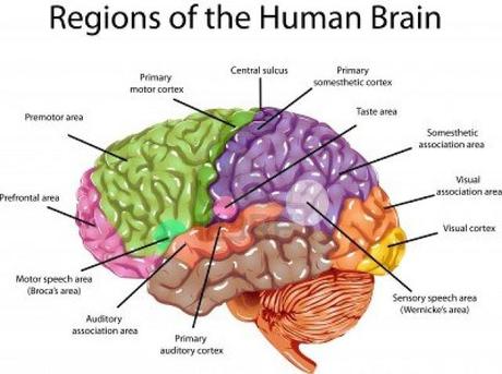 Brain training