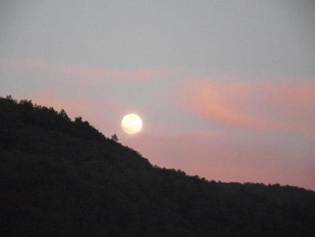 Don't forget the flowers someday Don't forget the flowers someday