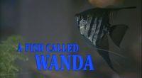 Un pesce di nome Wanda